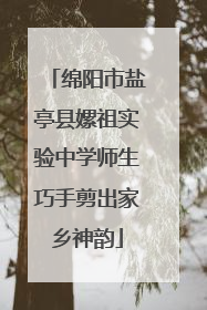 绵阳市盐亭县嫘祖实验中学师生巧手剪出家乡神韵