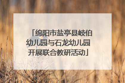 绵阳市盐亭县岐伯幼儿园与石龙幼儿园开展联合教研活动