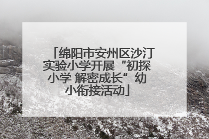 绵阳市安州区沙汀实验小学开展“初探小学 解密成长”幼小衔接活动