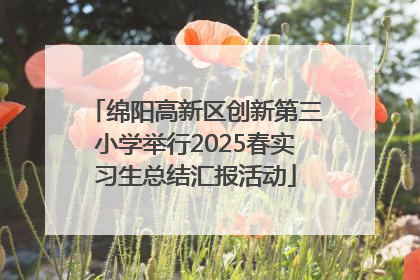 绵阳高新区创新第三小学举行2025春实习生总结汇报活动