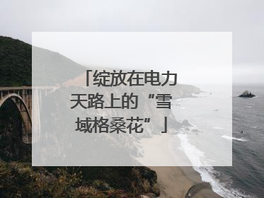 绽放在电力天路上的“雪域格桑花”