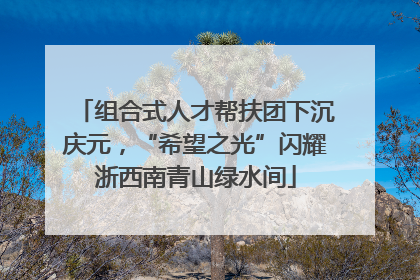 组合式人才帮扶团下沉庆元，“希望之光”闪耀浙西南青山绿水间