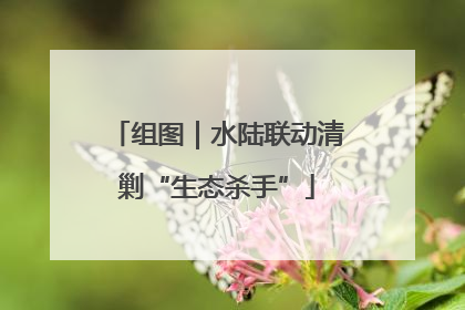 组图｜水陆联动清剿“生态杀手”