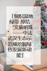 细织湿地绿带 厚结“文旅明珠”——中法武汉生态示范城挖掘绿色发展新动能