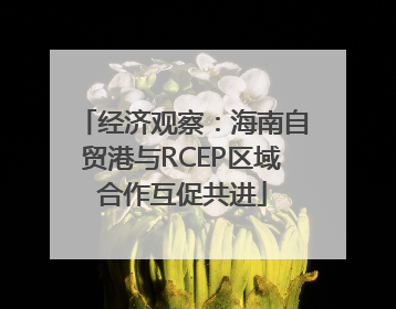 经济观察：海南自贸港与RCEP区域合作互促共进