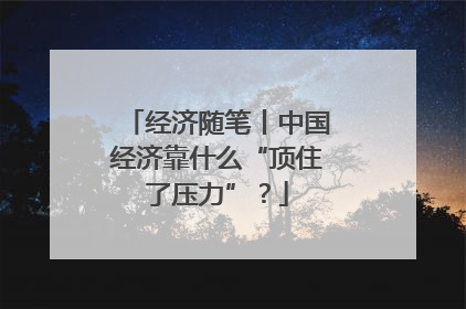经济随笔丨中国经济靠什么“顶住了压力”？