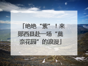 绝绝“紫”！来郧西县赴一场“莫奈花园”的浪漫