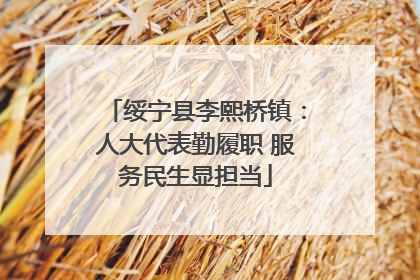 绥宁县李熙桥镇：人大代表勤履职 服务民生显担当