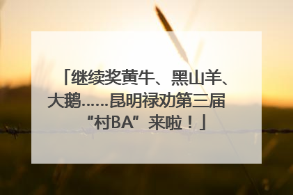继续奖黄牛、黑山羊、大鹅……昆明禄劝第三届“村BA”来啦！