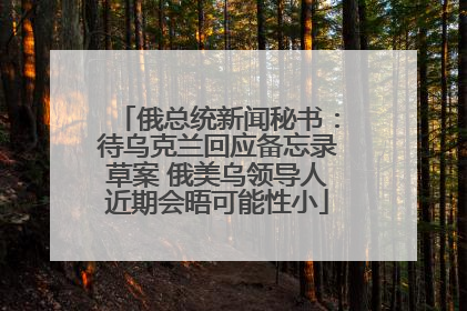 俄总统新闻秘书：待乌克兰回应备忘录草案 俄美乌领导人近期会晤可能性小
