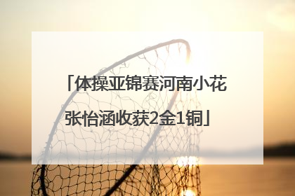 体操亚锦赛河南小花张怡涵收获2金1铜