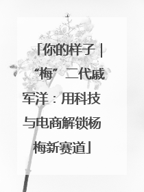 你的样子｜“梅”二代戚军洋：用科技与电商解锁杨梅新赛道
