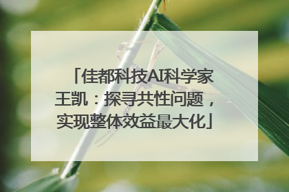 佳都科技AI科学家王凯：探寻共性问题，实现整体效益最大化