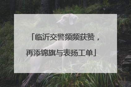 临沂交警频频获赞，再添锦旗与表扬工单