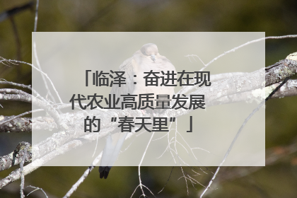 临泽：奋进在现代农业高质量发展的“春天里”