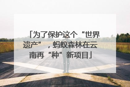 为了保护这个“世界遗产”，蚂蚁森林在云南再“种”新项目