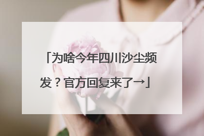 为啥今年四川沙尘频发？官方回复来了→