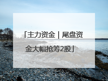 主力资金｜尾盘资金大幅抢筹2股