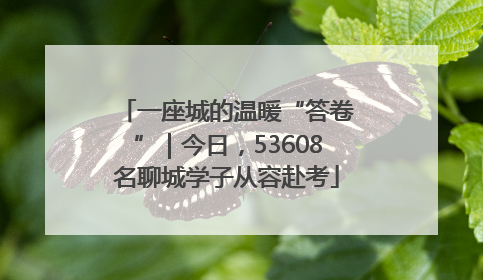 一座城的温暖“答卷”｜今日，53608名聊城学子从容赴考