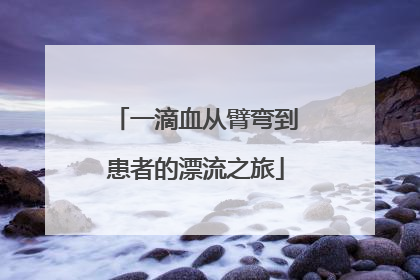 一滴血从臂弯到患者的漂流之旅