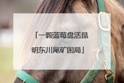 一颗蓝莓盘活昆明东川尾矿困局
