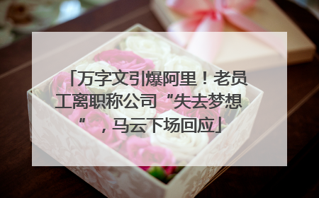 万字文引爆阿里！老员工离职称公司“失去梦想”，马云下场回应