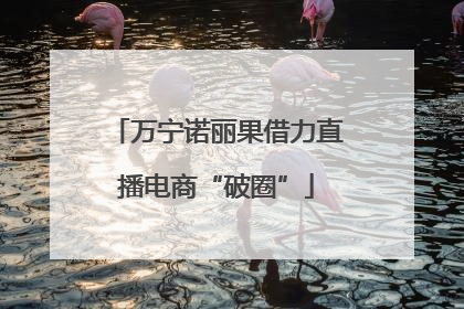万宁诺丽果借力直播电商“破圈”