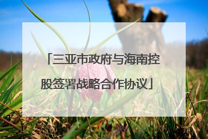 三亚市政府与海南控股签署战略合作协议
