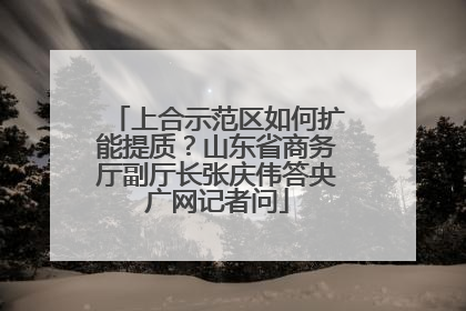 上合示范区如何扩能提质？山东省商务厅副厅长张庆伟答央广网记者问