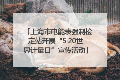 上海市电能表强制检定站开展“5·20世界计量日”宣传活动