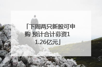 下周两只新股可申购 预计合计募资11.26亿元