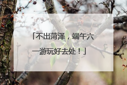 不出菏泽，端午六一游玩好去处！