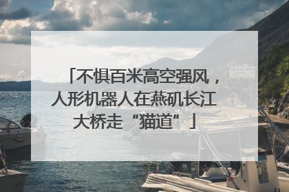 不惧百米高空强风，人形机器人在燕矶长江大桥走“猫道”