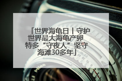 世界海龟日丨守护世界最大海龟产卵 特多“守夜人”坚守海滩30多年