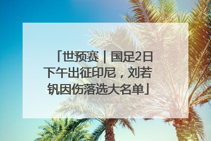 世预赛｜国足2日下午出征印尼，刘若钒因伤落选大名单
