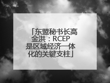 东盟秘书长高金洪：RCEP是区域经济一体化的关键支柱