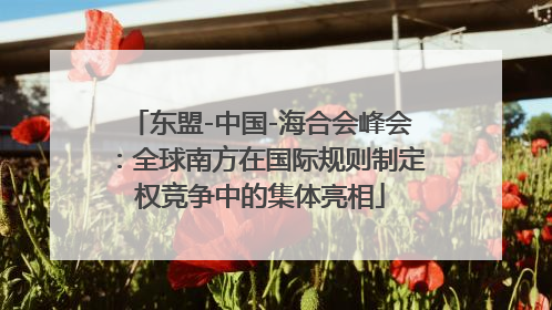 东盟-中国-海合会峰会：全球南方在国际规则制定权竞争中的集体亮相