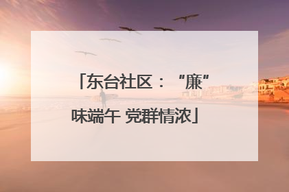 东台社区：“廉”味端午 党群情浓