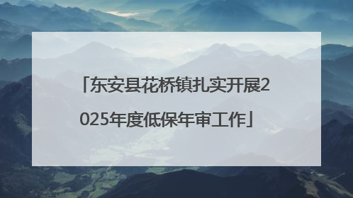 东安县花桥镇扎实开展2025年度低保年审工作