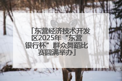 东营经济技术开发区2025年“东营银行杯”群众舞蹈比赛圆满举办