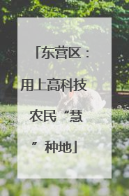 东营区：用上高科技 农民“慧”种地