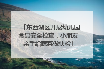 东西湖区开展幼儿园食品安全检查，小朋友亲手给蔬菜做快检