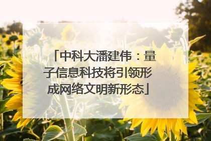 中科大潘建伟：量子信息科技将引领形成网络文明新形态