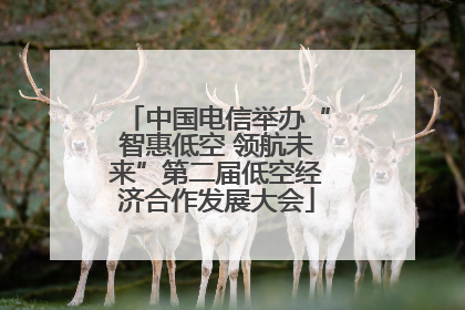 中国电信举办“智惠低空 领航未来”第二届低空经济合作发展大会