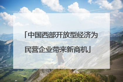 中国西部开放型经济为民营企业带来新商机