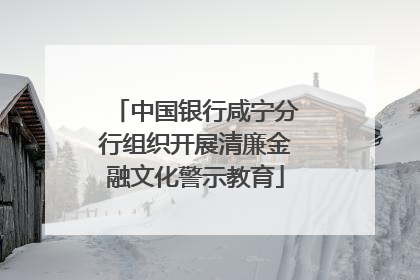 中国银行咸宁分行组织开展清廉金融文化警示教育