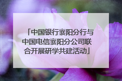 中国银行襄阳分行与中国电信襄阳分公司联合开展研学共建活动