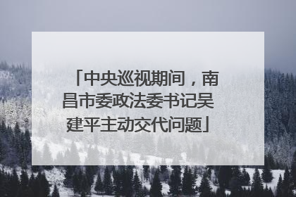 中央巡视期间，南昌市委政法委书记吴建平主动交代问题