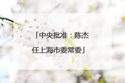 中央批准：陈杰任上海市委常委