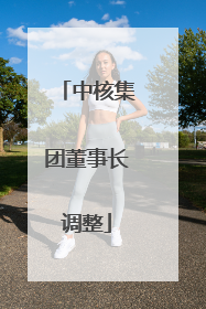 中核集团董事长调整